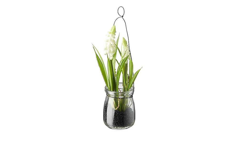 Hyazinthe in Glasvase   ¦ weiß ¦ Kunststoff,Glas,Metall ¦ Maße (cm): H: 21 günstig online kaufen
