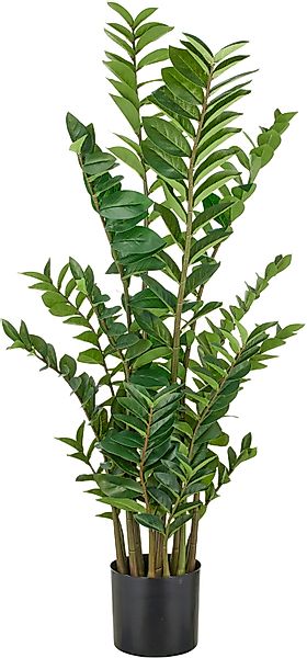 Kunstpflanze Zamifolia, Creativ green, Höhe 130 günstig online kaufen