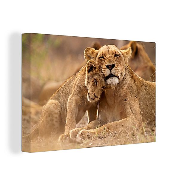 OneMillionCanvasses® Leinwandbild Löwe - Wilde Tiere günstig online kaufen