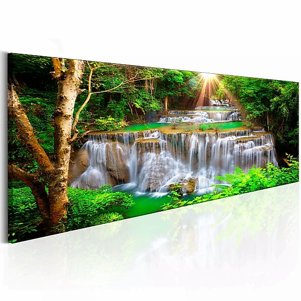 Wandbild - Nature's Masterpiece günstig online kaufen