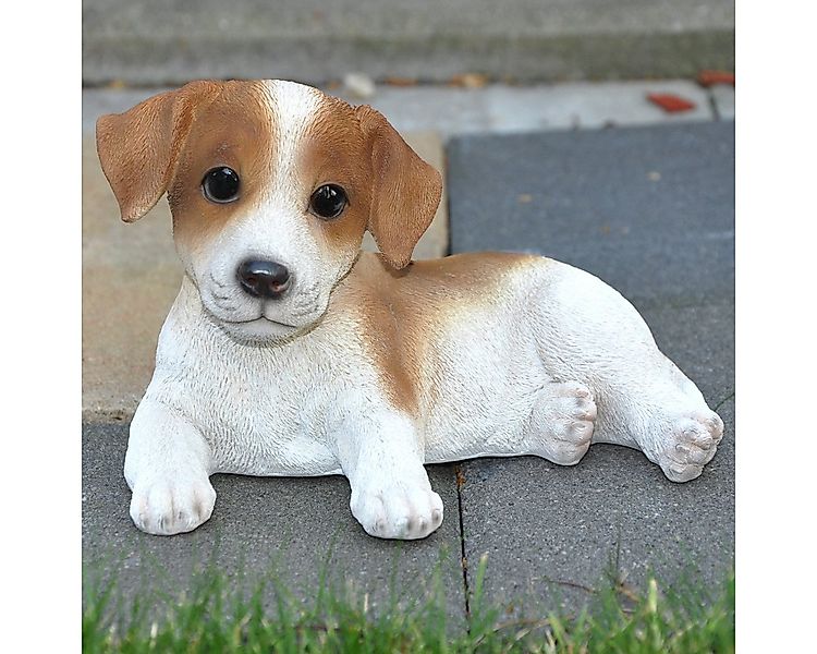 dazikemo Gartenfigur Dekofigur Gartenfigur Jack Russel günstig online kaufen