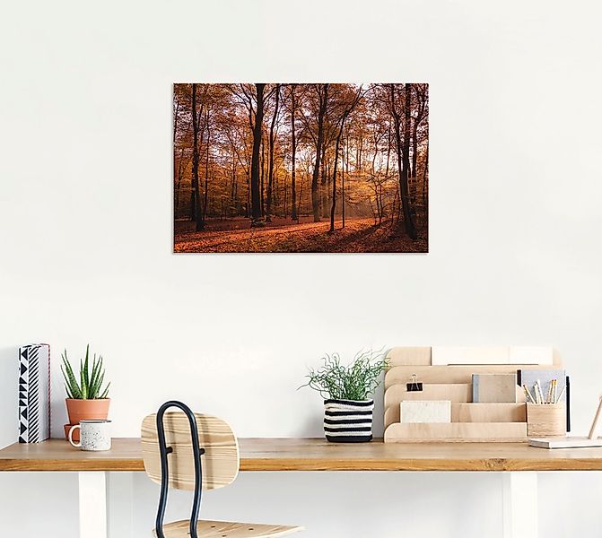 Artland Wandbild »Sonnenaufgang im Herbst II«, Wald, (1 St.), als Alubild, günstig online kaufen