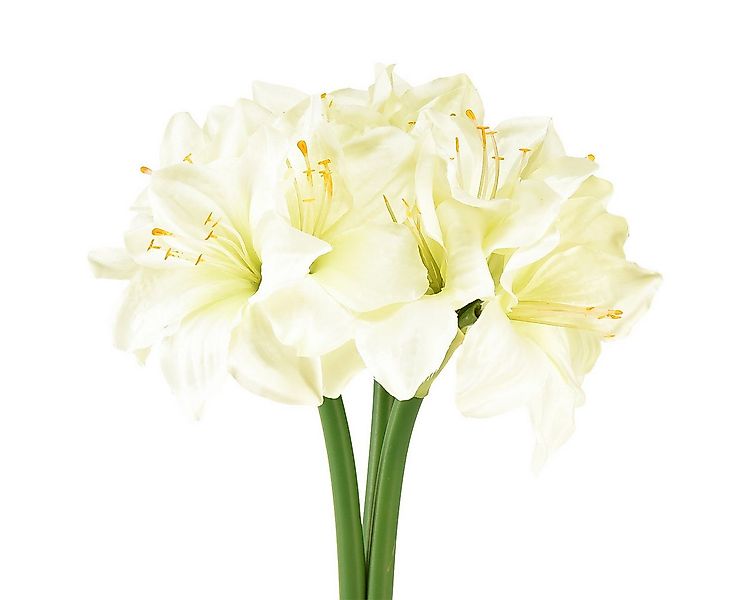Winterliche Kunstpflanze Künstliche Amaryllis Weiß 40cm - Täuschend echte K günstig online kaufen