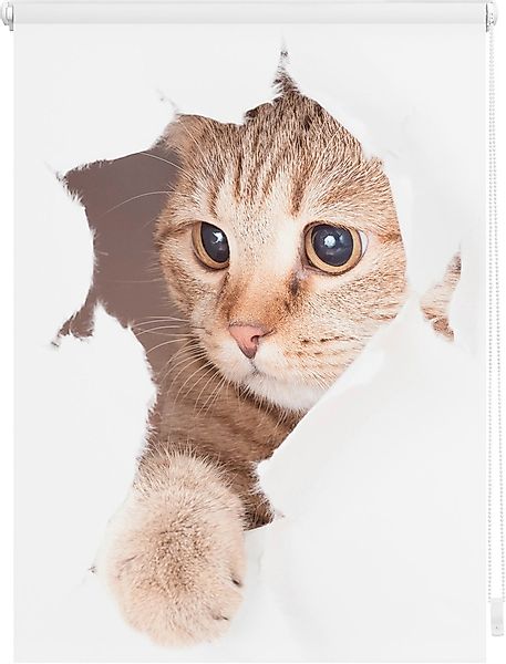 LICHTBLICK ORIGINAL Seitenzugrollo »Klemmfix Digital Katze«, verdunkelnd, e günstig online kaufen