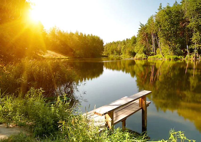 Papermoon Fototapete »Summer Forest Lake« günstig online kaufen
