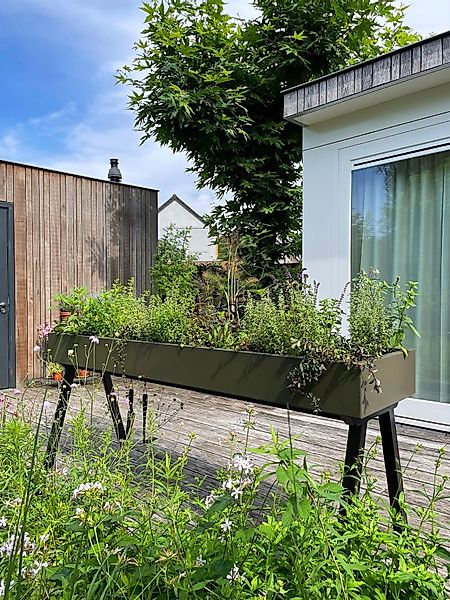 Gardenworks - Gemüse- und Pflanzbehälter günstig online kaufen