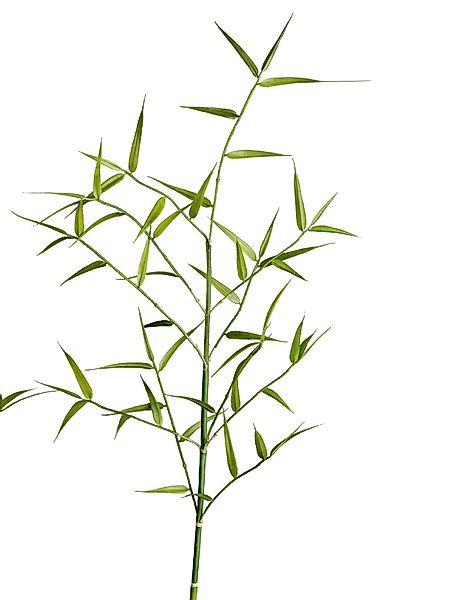 Kunstblume, formano, Höhe 93 cm, Farbe: günstig online kaufen