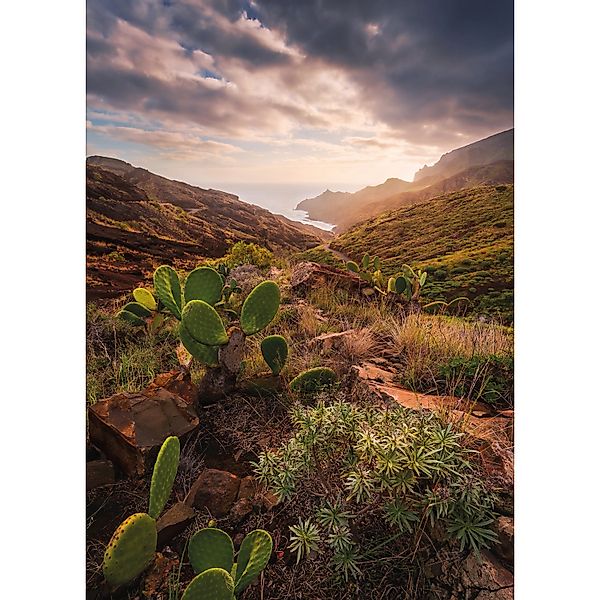 Vlies Fototapete Warmes Licht 200x280 cm günstig online kaufen