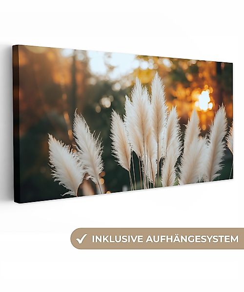 OneMillionCanvasses® Leinwandbild Panorama Pampasgras - Federn günstig online kaufen