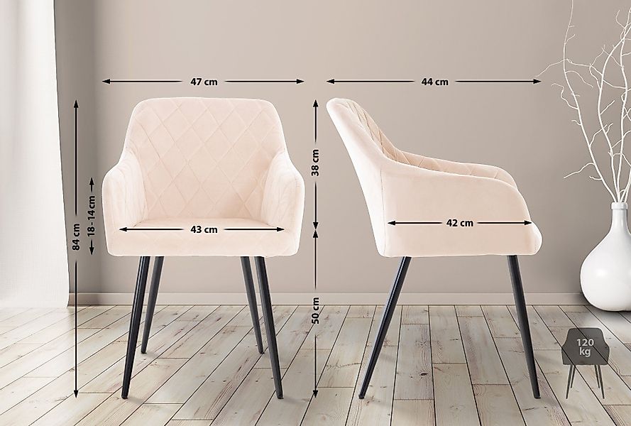 CLP Esszimmerstuhl Shila (2er Set), Samt günstig online kaufen