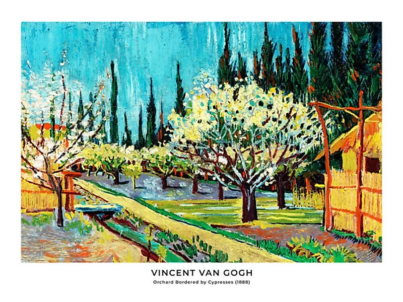 Poster / Leinwandbild - Vincent Van Gogh: Obstgarten Umgeben Von Zypressen günstig online kaufen