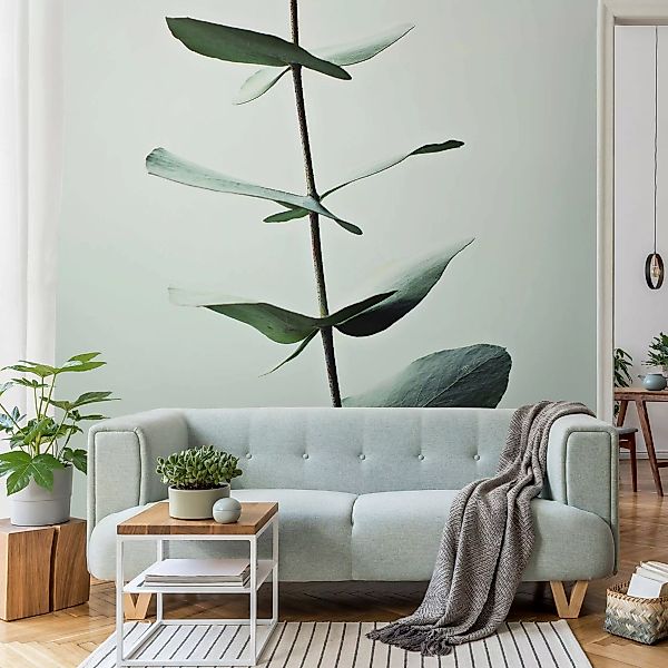 Fototapete Symmetrischer Eukalyptuszweig günstig online kaufen