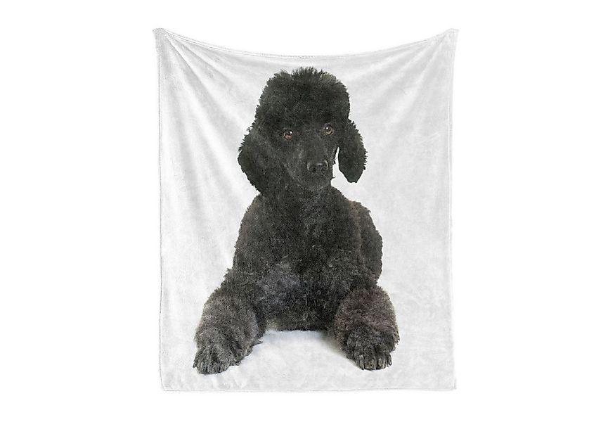 Wohndecke Gemütlicher Plüsch für den Innen- und Außenbereich, Abakuhaus, Pu günstig online kaufen