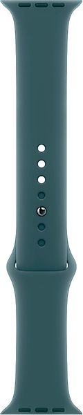Apple Smartwatch-Armband Sportarmband günstig online kaufen