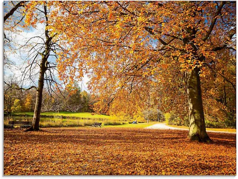 Artland Glasbild »Herbst bei Schlosses Nymphenburg«, Wiesen & Bäume, (1 St. günstig online kaufen