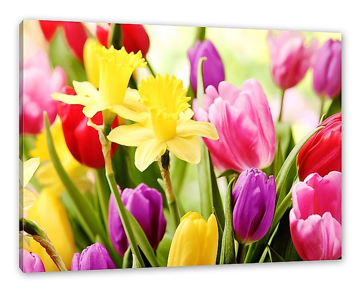 Pixxprint Leinwandbild Osterglocken und Tulpen, Osterglocken und Tulpen (1 günstig online kaufen