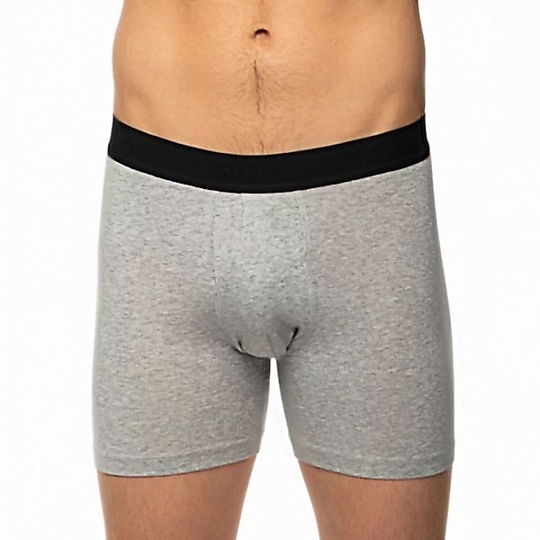 Stance Boxer Briefs Standard Grau günstig online kaufen