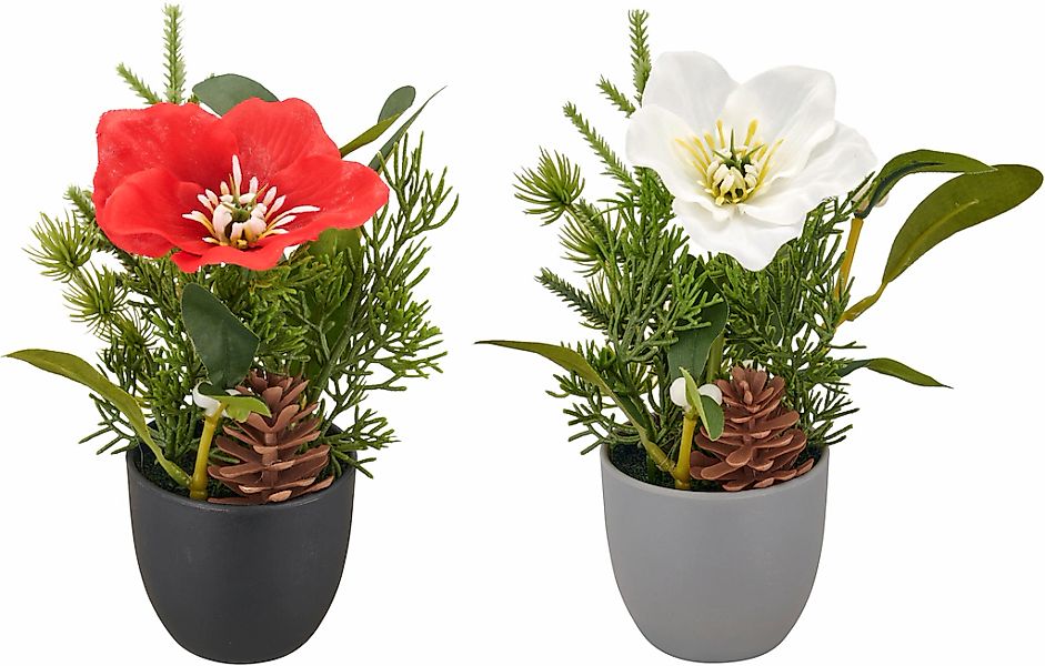Creativ green Winterliche Kunstpflanze "Arrangement mit Christrose" günstig online kaufen
