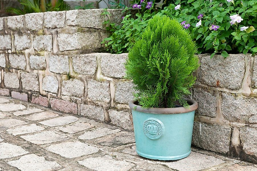 Teramico Pflanzkübel "Provence" Pflanzkübel: Handgefertigte Keramik günstig online kaufen