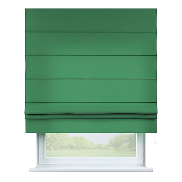 Dekoria Raffrollo Padva, grün, 50 x 60 cm günstig online kaufen