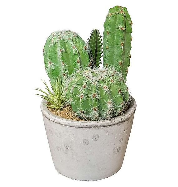 Kunstkaktus Kunstpflanze KAKTEEN im ZEMENTTOPF ca 20cm. Kaktus mix getopft. günstig online kaufen