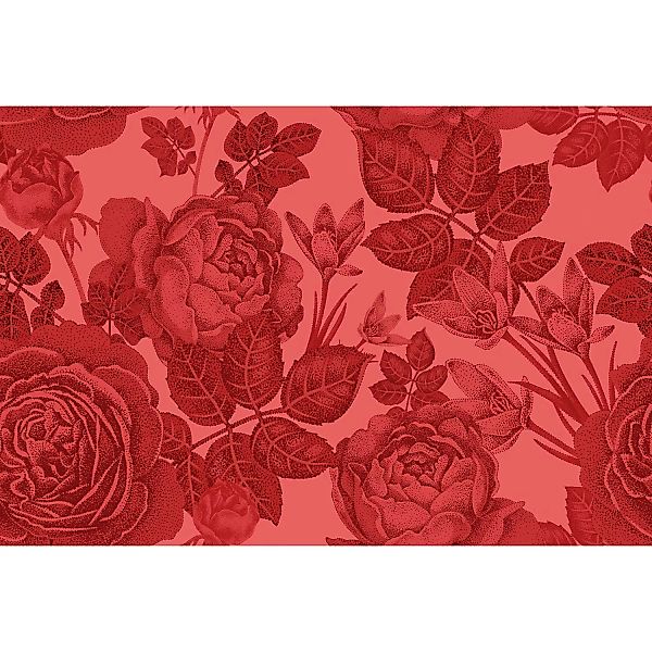 Fototapete Blumen Rosen Rot 4,00 m x 2,70 m FSC® günstig online kaufen
