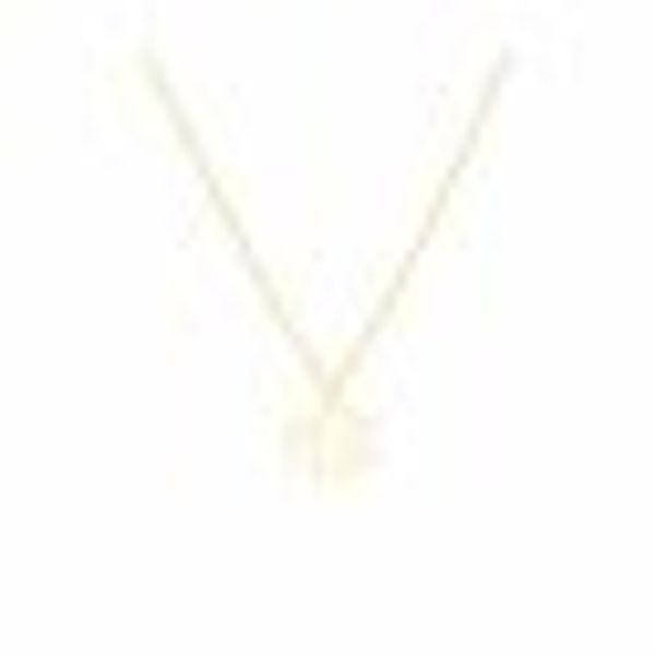 Anhänger mit Kette 925-Sterling Silber vergoldet Glänzend 42cm Krebs günstig online kaufen