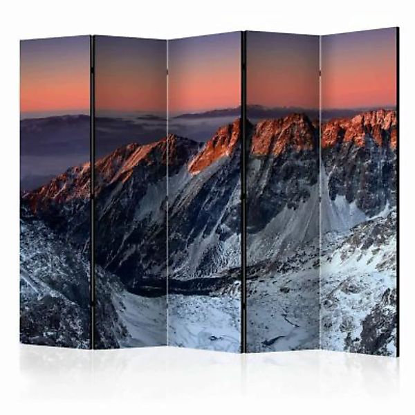 artgeist Paravent Beautiful sunrise in the Rocky Mountains II [Room Divider günstig online kaufen