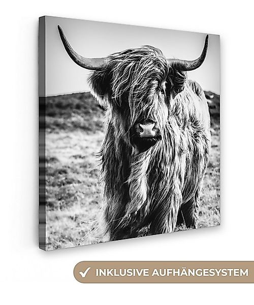 OneMillionCanvasses® Leinwandbild Schottischer Highlander - Natur - Kuh - S günstig online kaufen