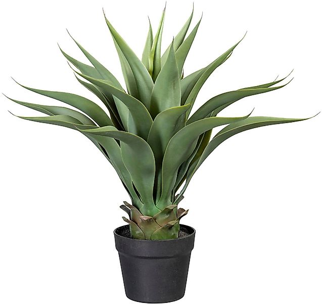 Künstliche Zimmerpflanze Agave Agave, Creativ green, günstig online kaufen