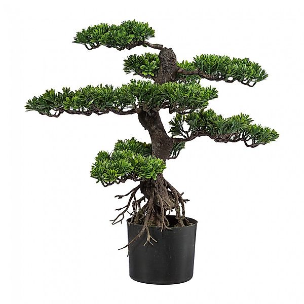Kunstbonsai Bonsai Kunstpflanze 65 cm, Fuchs günstig online kaufen