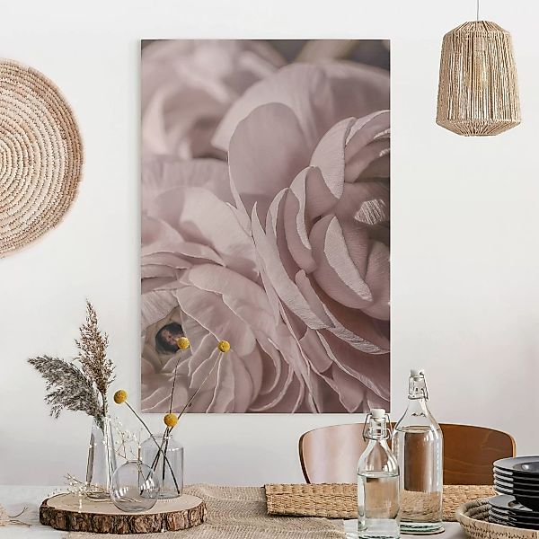 Leinwandbild Errötete Blüte günstig online kaufen