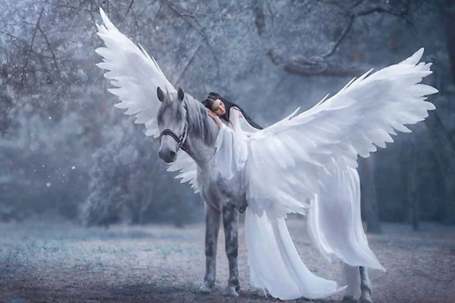 Papermoon Fototapete »Frau auf Pegasus« günstig online kaufen