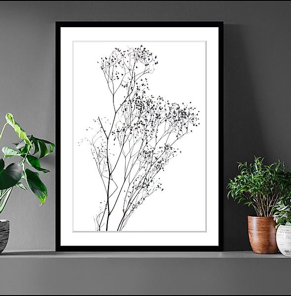 queence Bild Dana, Blumen, Pflanzen, Pflanzenbilder, günstig online kaufen