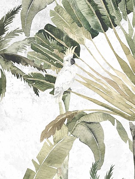 Komar Bild "Oiseau Cacadoo" Natur 1 Stk. tlg. Wandbild zur Dekoration - ohn günstig online kaufen