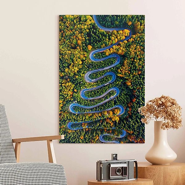 Leinwandbild Serpentine im Transsilvanischen Wald günstig online kaufen