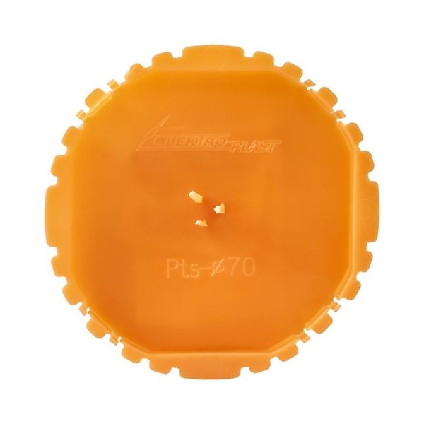 Kabelbox 50 Stück Putzdeckel Ø 70mm günstig online kaufen