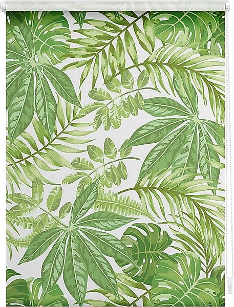 Seitenzugrollo Rollo Klemmfix, ohne Bohren, blickdicht, Blätter - Grün, LIC günstig online kaufen