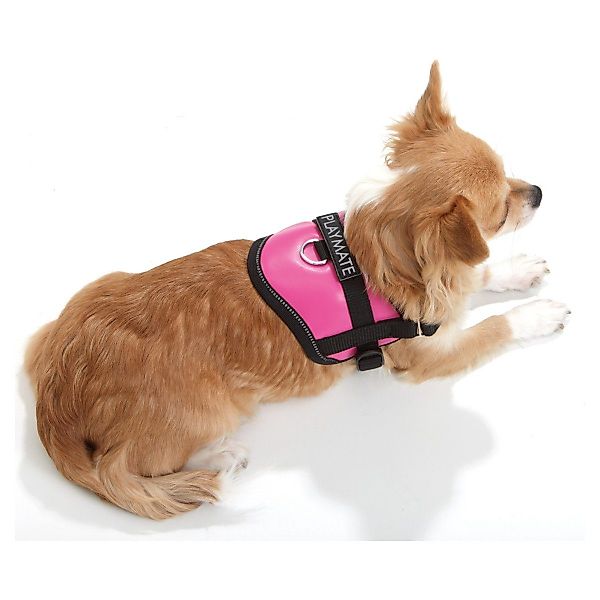 Karlie Hunde-Geschirr Teeny Weeny Geschirr pink günstig online kaufen