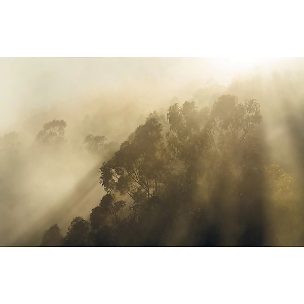 Komar Fototapete Vlies Misty Mountain  400 x 250 cm günstig online kaufen