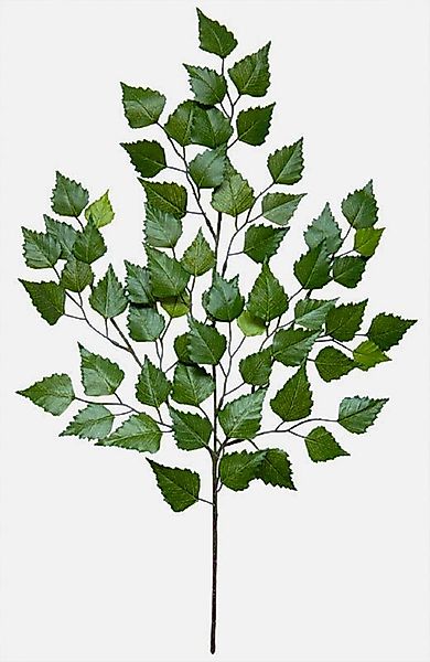 Kunstzweig Birkenzweig 70cm mit 60 Blättern DA künstlicher Zweig künstliche günstig online kaufen