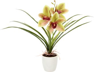 Kunstblume Orchidee, I.GE.A., Höhe 32 cm, günstig online kaufen