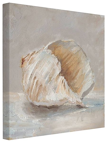 Bilderdepot24 Leinwandbild Meer Maritim Strand Muschel-Studie creme beige B günstig online kaufen