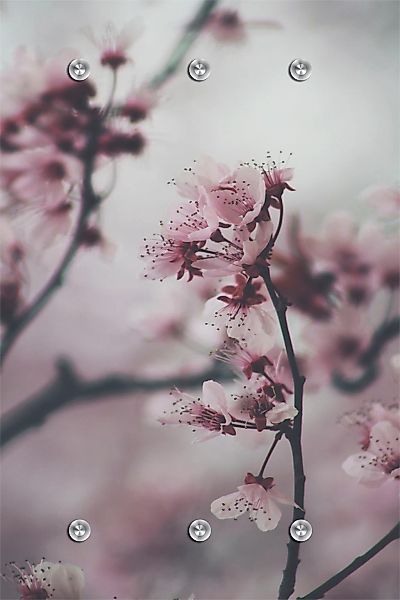 queence Garderobenleiste "Blumen" mit 6 Haken, 80 x 120 cm günstig online kaufen