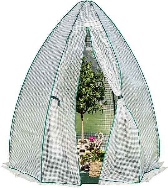 50NRTH Foliengewächshaus Olive, BxTxH: 160 x 160 x 183 cm, Überwinterungsze günstig online kaufen