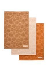 Next Geschirrtuch Geschirrtücher, 3er-Set, (3-tlg) günstig online kaufen