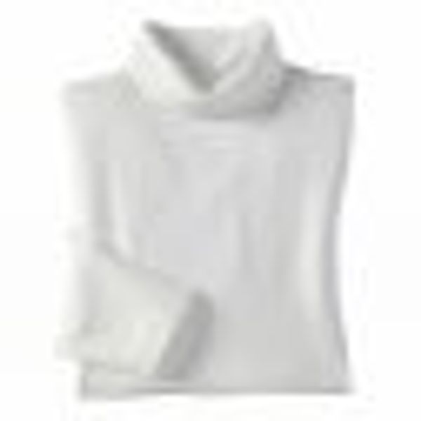 Thermo-Rollkragenshirt günstig online kaufen