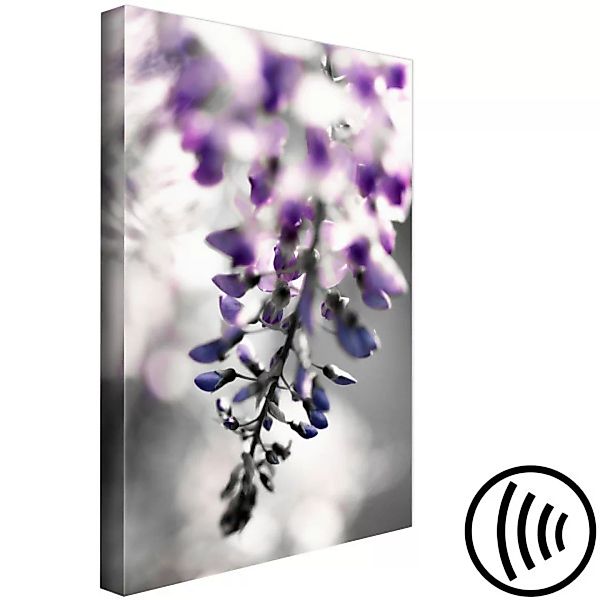 Bild auf Leinwand Violettes Exemplar - Blumen-Nahaufnahme auf grauem Hinter günstig online kaufen