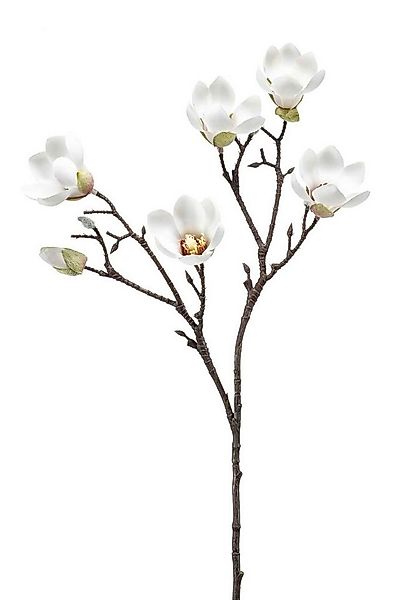 Kunstblume Blütenzweig Magnolie, Emerald, Höhe 65 cm, Farbe: Weiß, Motiv: M günstig online kaufen
