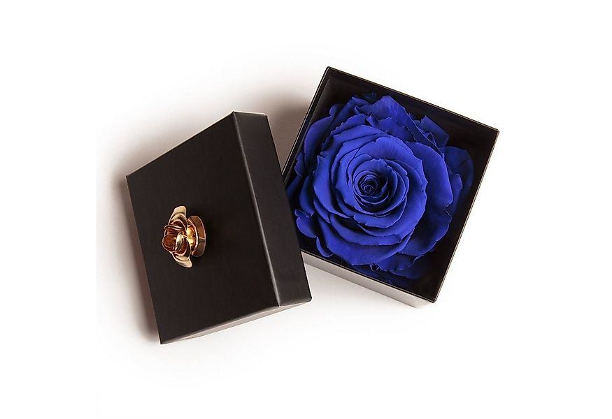 Kunstblume 1 Infinity Rose haltbar 3 Jahre ewige Rose in Box Rose, ROSEMARI günstig online kaufen